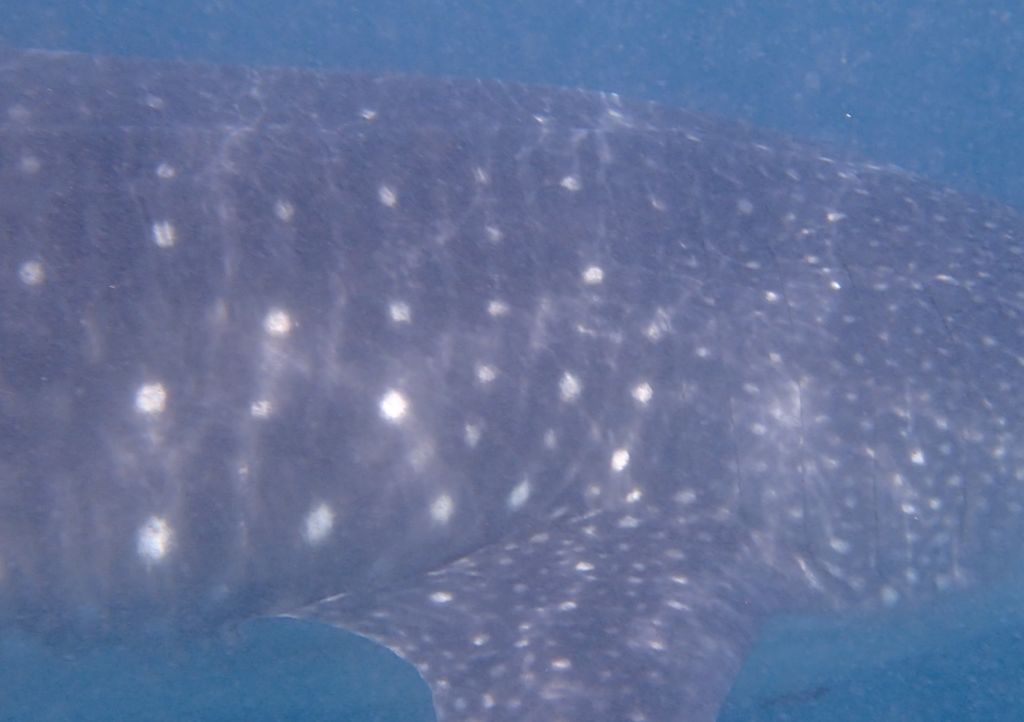 f1f4e456-796e-4f8a-a8b1-0b02202032de