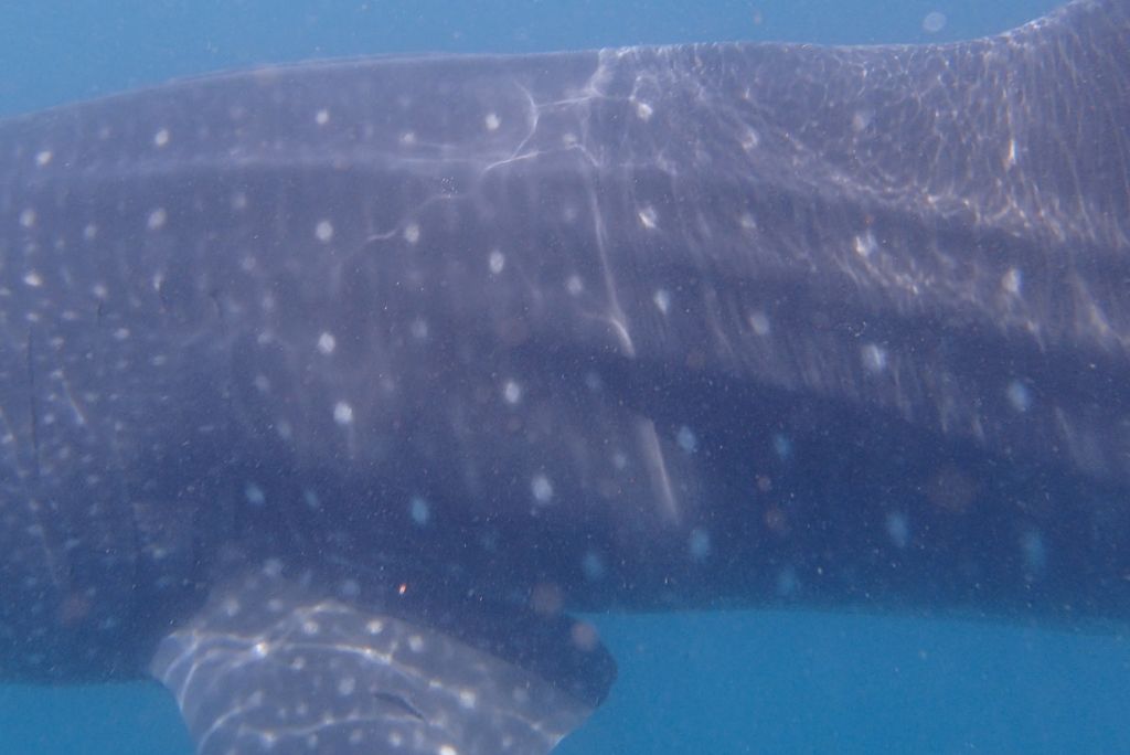 f1f4e456-796e-4f8a-a8b1-0b02202032de