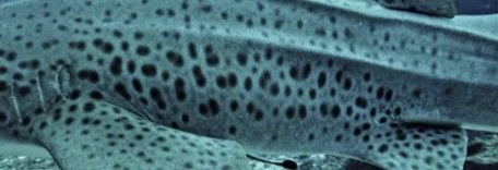 0762deaf-2e2f-4ecd-9331-84aa85908fe8