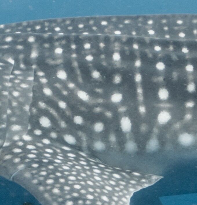 223cf800-31dc-4628-bf0c-dc4b07aeebda