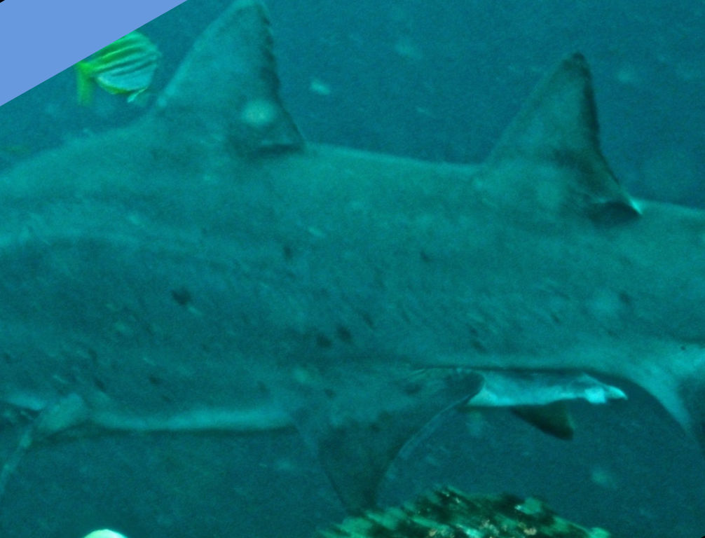 646e0f79-66f5-4577-bfa2-0ce21aade9f5