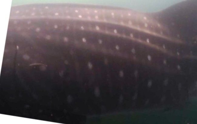 d71b37e5-d6a2-4f43-92e3-2bbbf5af4464