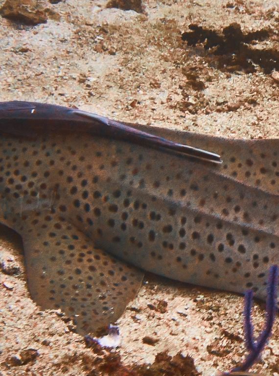 2b6bfee0-85a7-413b-bb78-6aea37af8d95