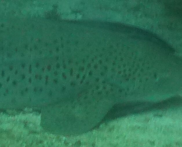 2b6bfee0-85a7-413b-bb78-6aea37af8d95