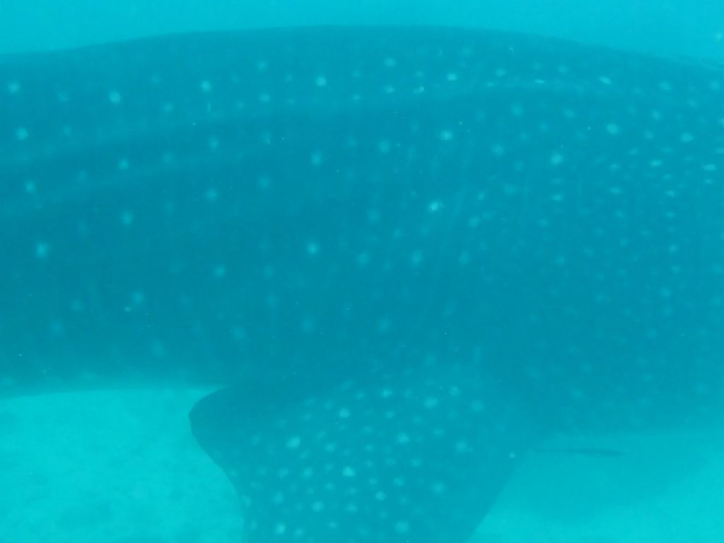 31f4e446-e204-4522-9349-b6d3a7445eb5