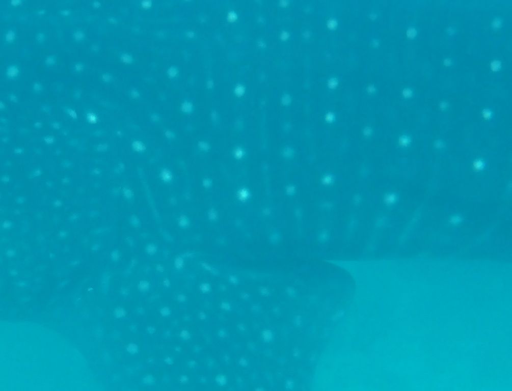 31f4e446-e204-4522-9349-b6d3a7445eb5