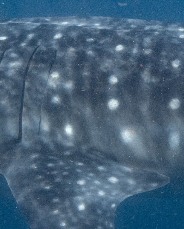 0a889622-8a62-4725-8f98-0fde59b4d76f