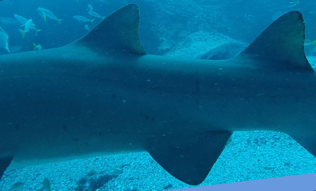 df02599d-63b4-4417-98b6-78f1c1c9e924