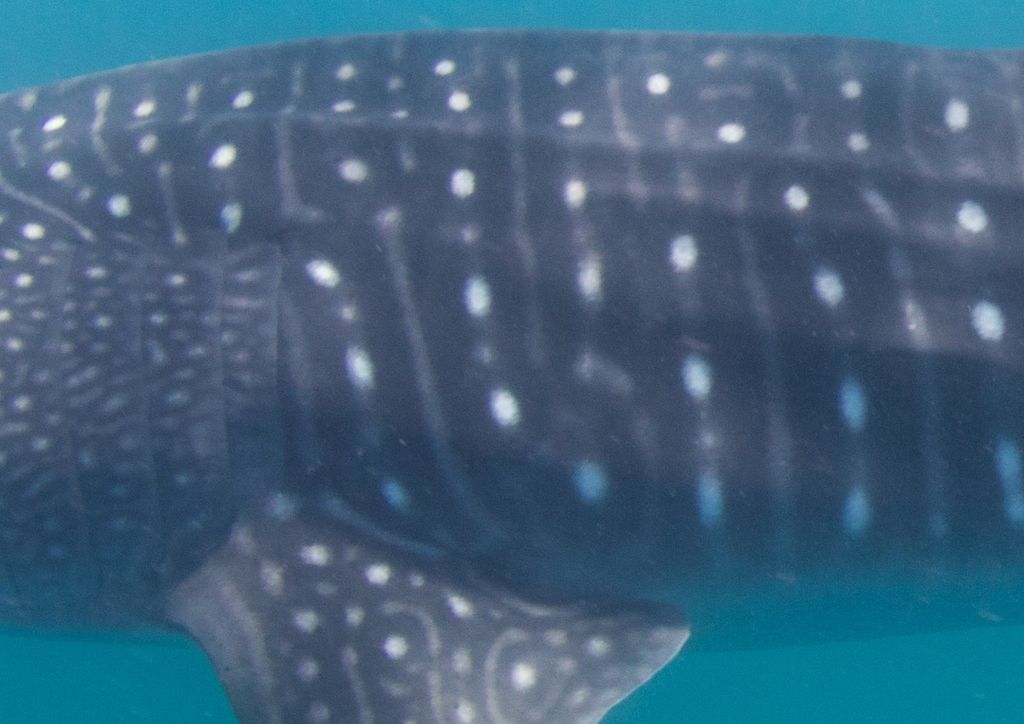 9d60f5b3-823d-4f6b-acb8-4a17da60ef5a