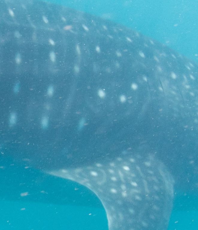 9d60f5b3-823d-4f6b-acb8-4a17da60ef5a