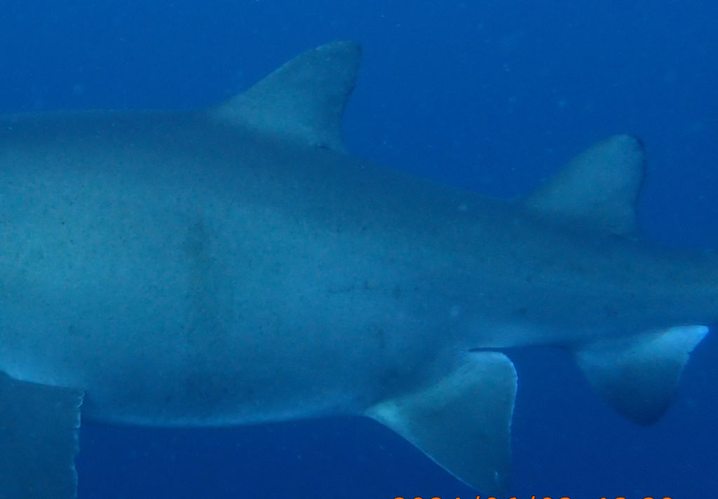 8a59c3ef-0c6e-44ea-b98d-ff864d0579ca