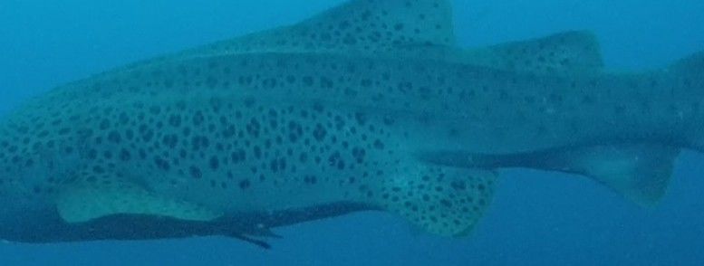 fb099ea0-0945-44b8-aedc-cee740e0e134