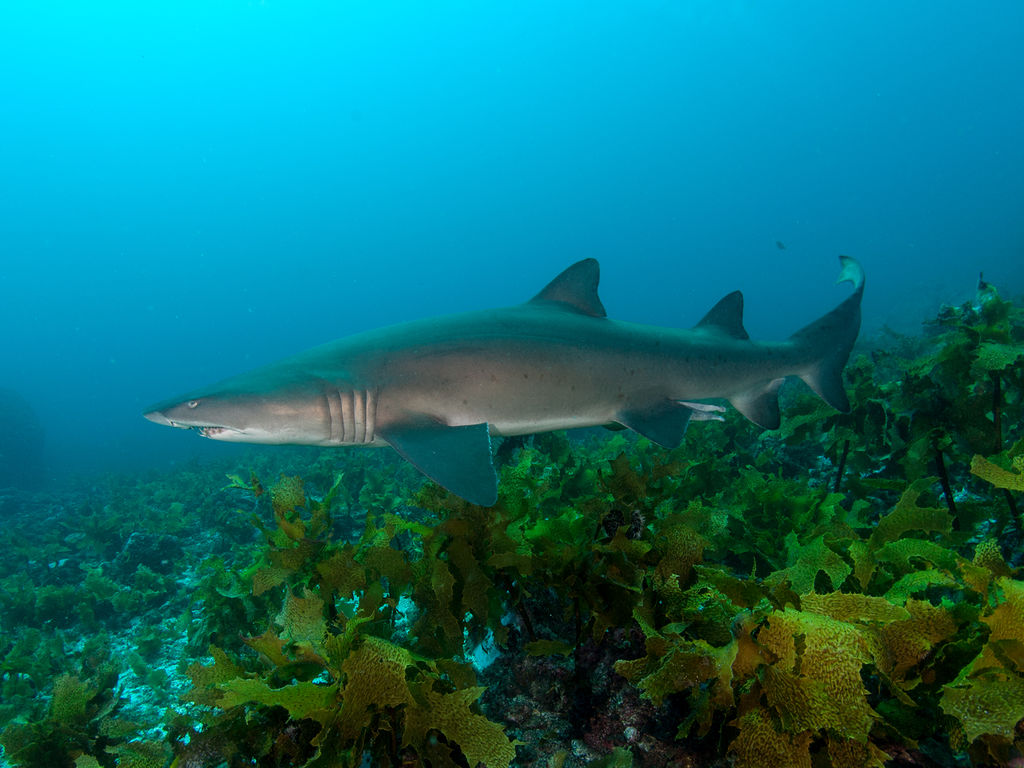 8dbc4ed2-278f-40c6-b1e8-f536d078f764