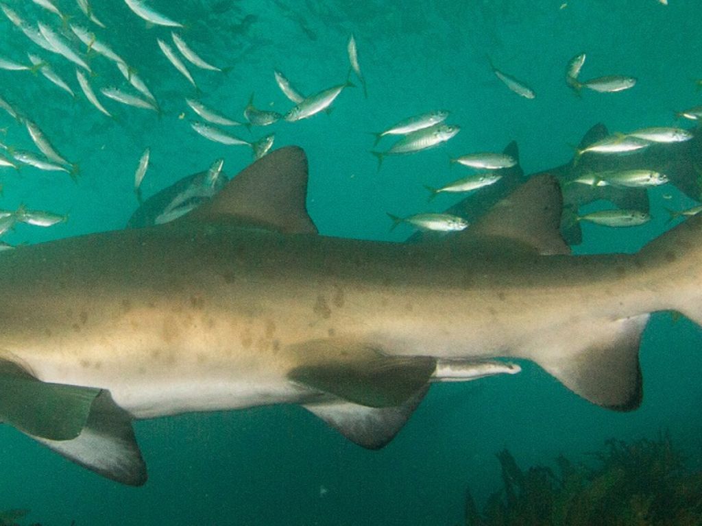 f7cd0595-06db-4b3a-8c43-00622a1156e6