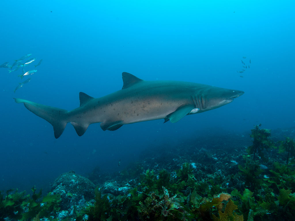 c08950fe-fcfe-45df-a627-d67c8602c301