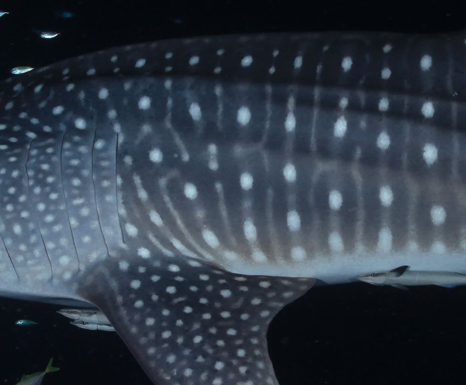 3b93fd6c-3dc7-45ea-aaad-5ede35d3b186