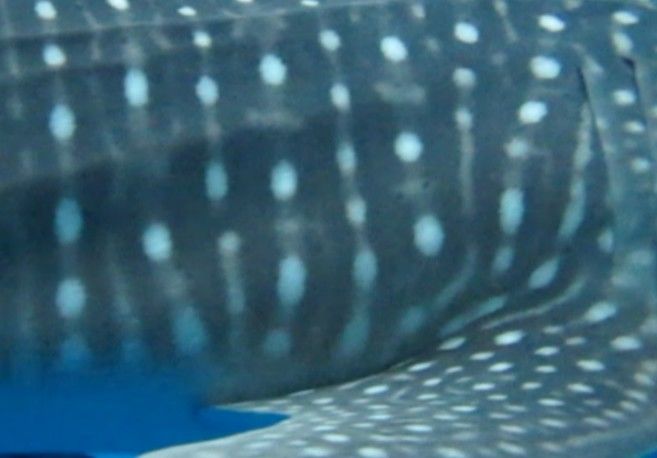 3b93fd6c-3dc7-45ea-aaad-5ede35d3b186