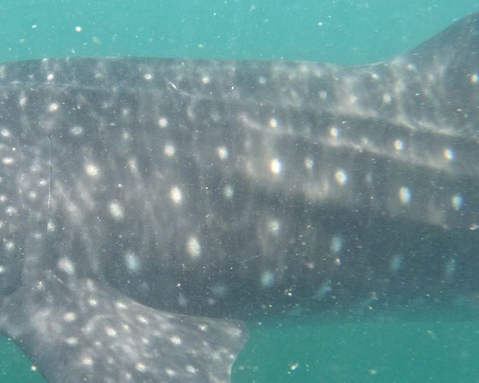 5242b041-eb84-4489-860a-a167d4930561