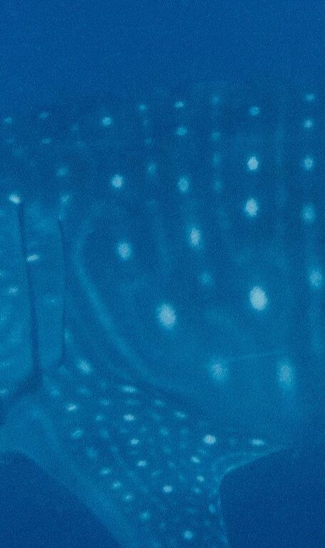 a68edda1-23a6-43f5-9783-8e36177e2e6b