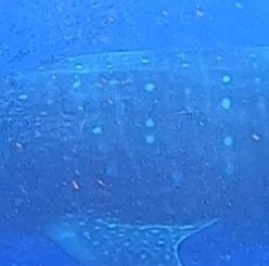 7745c9fd-724f-4f14-9f64-e6dda346cbee