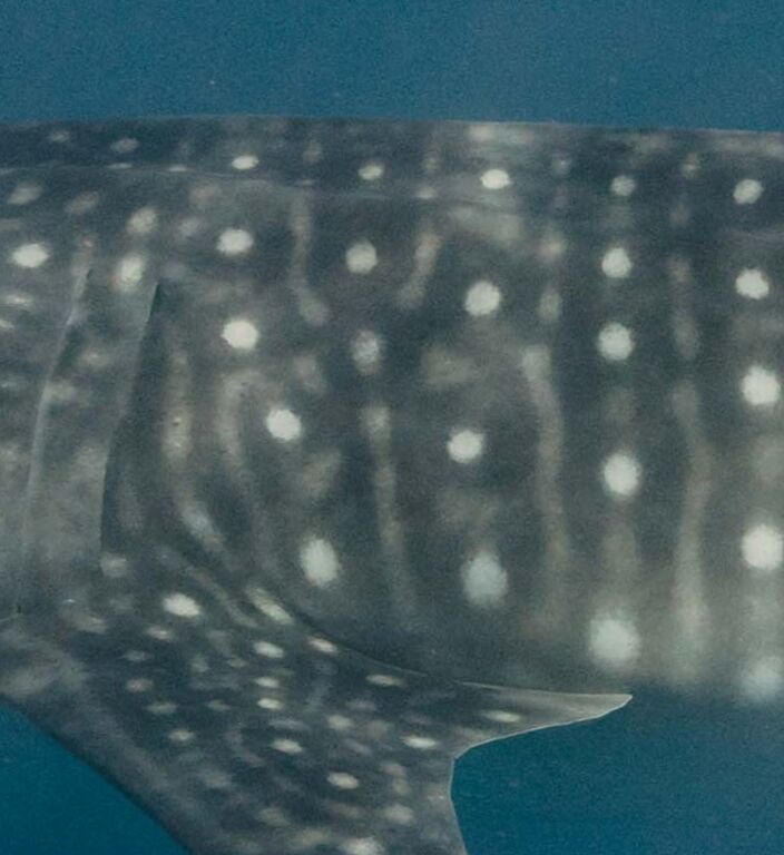 070ba93e-cc5b-4d4e-93ea-4c35bf018fa2