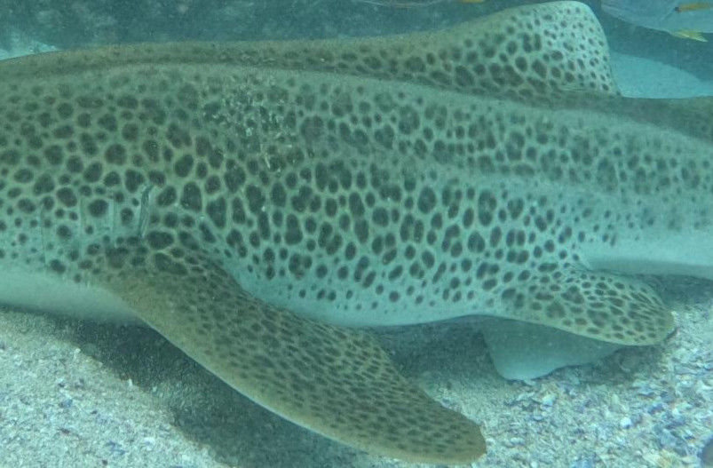 196f84ae-d19b-428a-af2d-013b28048d31