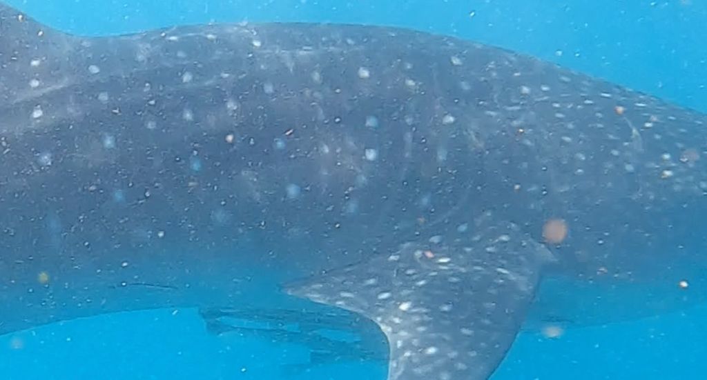 804d587f-b681-4260-8222-c4b70b52cf84