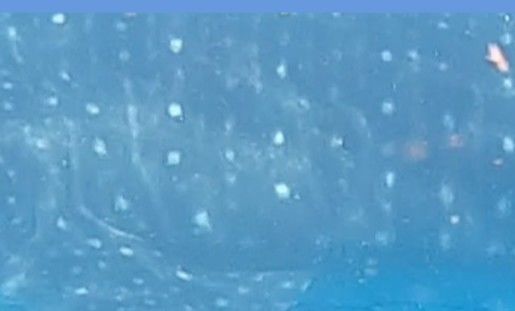 804d587f-b681-4260-8222-c4b70b52cf84