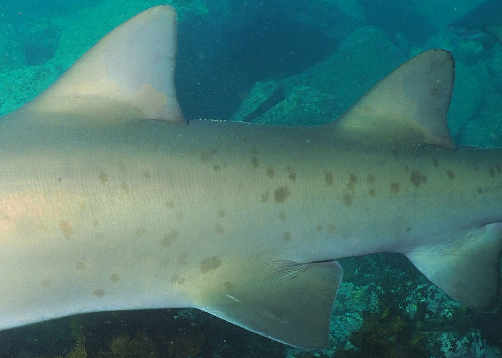 f805e1ed-14ba-42ee-bf7d-83b6d3f49131