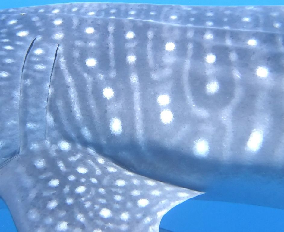 c7d55add-ecd9-46e8-bfec-577e7b060e08