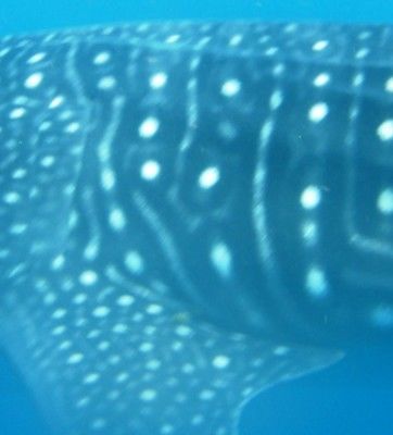 76116003-68e0-4b92-91cd-83c61471cb25