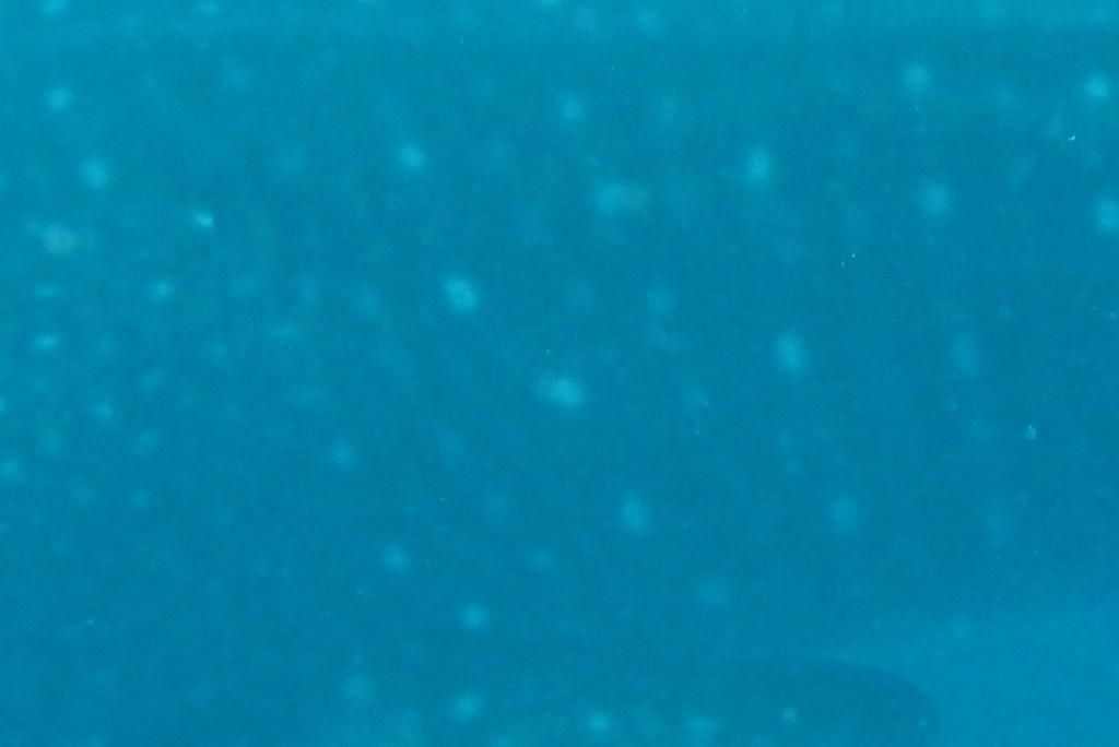 8d6ef298-547b-4dc5-9ef8-5f9f0fd08c22