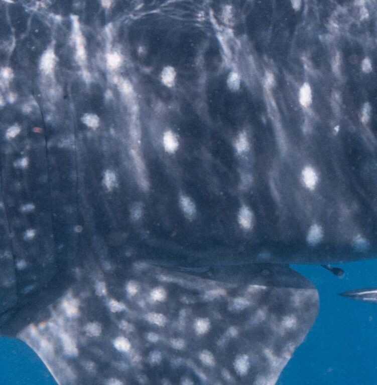 1b701aae-7c71-46c6-98a4-e0654092d2da