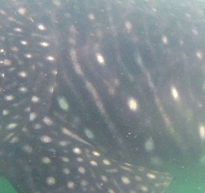 8ec72ce0-1807-47c0-9718-2ff839a599fb