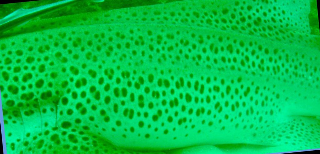 27086bbc-41e7-4b65-a3de-3438f0887c16