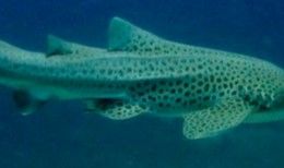 a21b2a10-7514-4627-af11-7cba2a544e35