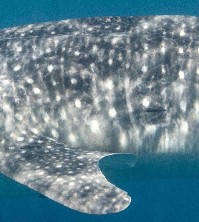 0c131ce6-debe-4ea0-a95b-0b255f37855a