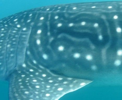 1fb3e489-48cd-46c4-a110-230fd1eefff0