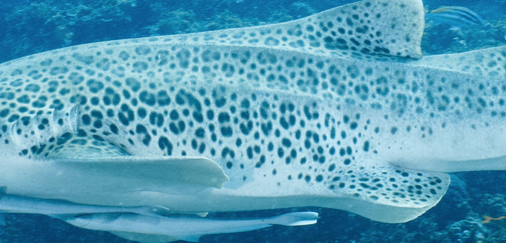 a36cc7a8-24a8-47c3-bbcb-d12295349971