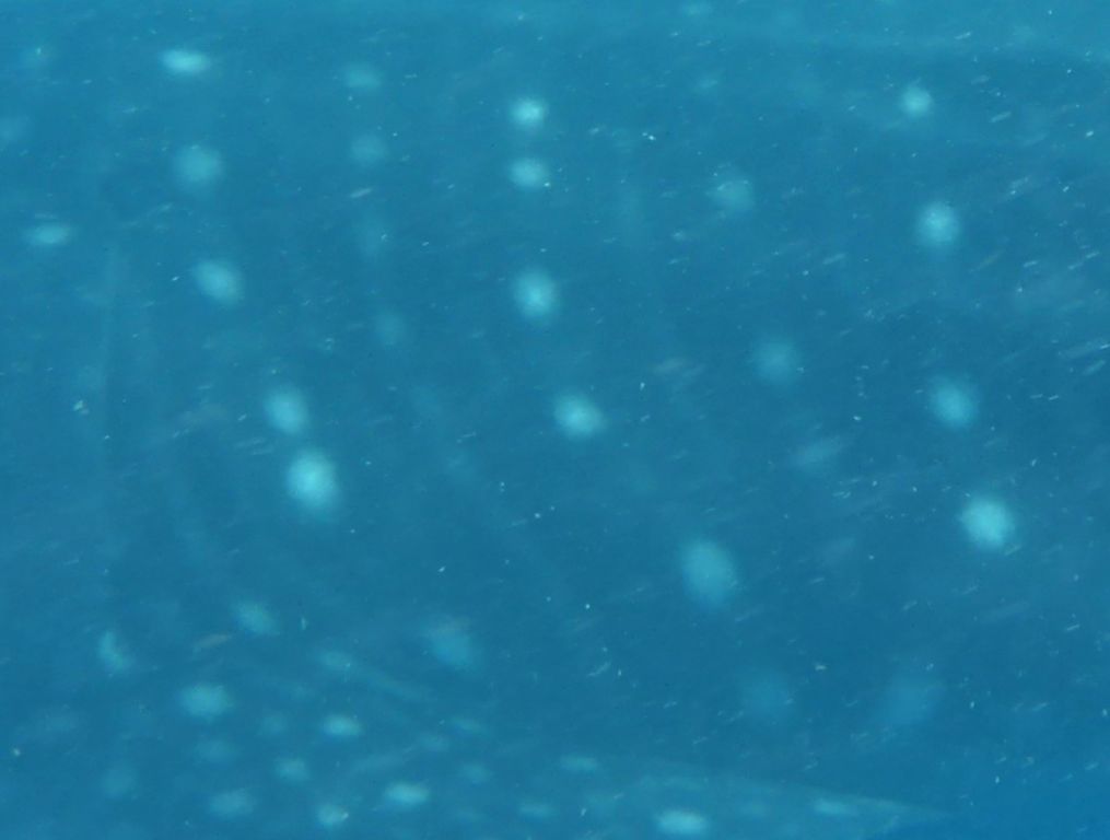 2d94d6aa-23d7-4a04-ad9c-5e37aae8f8e5