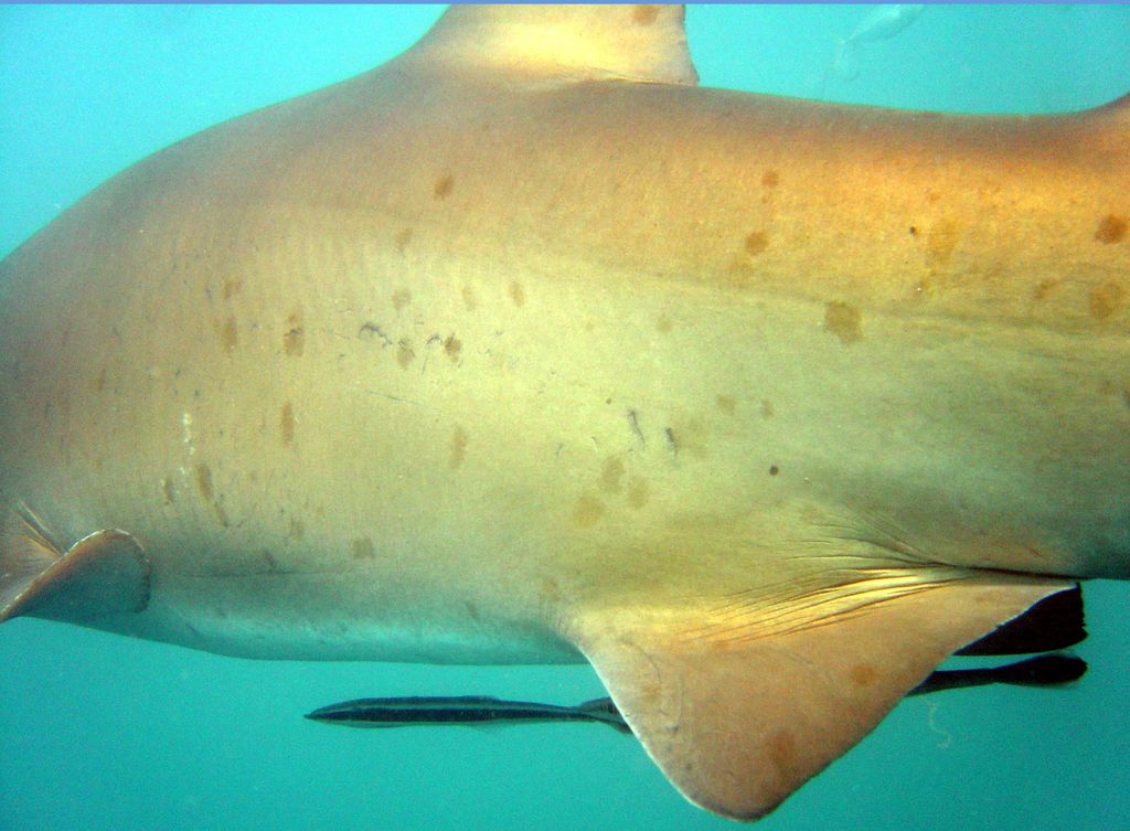 17a5af92-bca6-4268-ab4d-66ddb1ccde0a