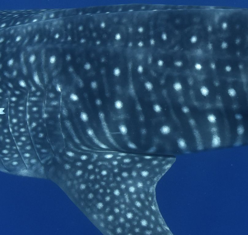 b59f4dc5-6468-40d4-a533-ff8288cf5258