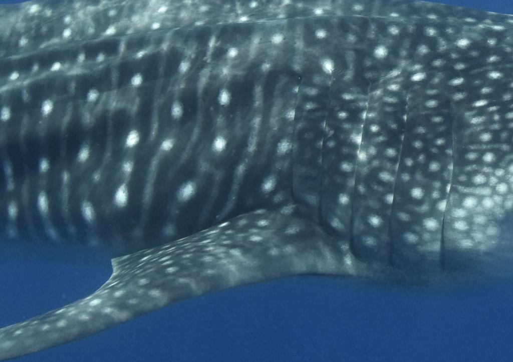 b59f4dc5-6468-40d4-a533-ff8288cf5258