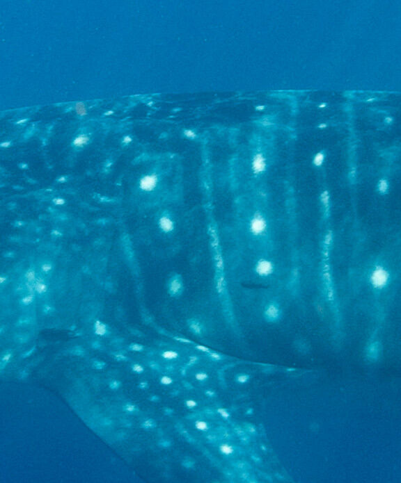 2ab6199c-a6f4-4cc8-8eb3-f9b88d029ece