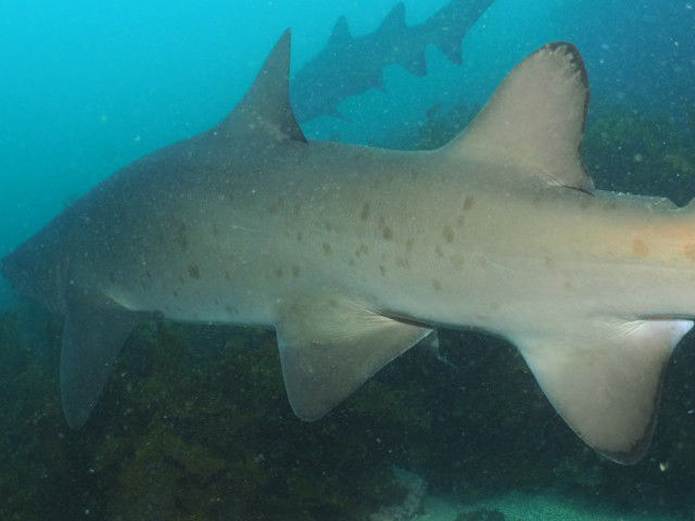 e6dd910f-264e-43b6-87f3-73196477e17f