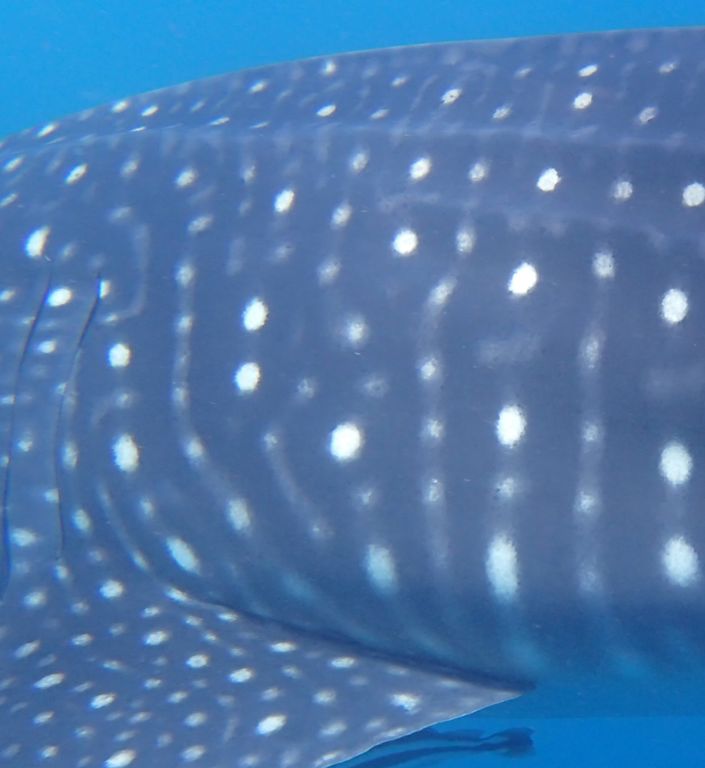 30cafc77-7160-4788-8e5d-eb3e741d1070