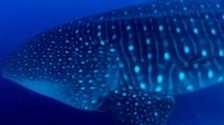 3c685ad9-7147-479f-bcff-c1835cea450b