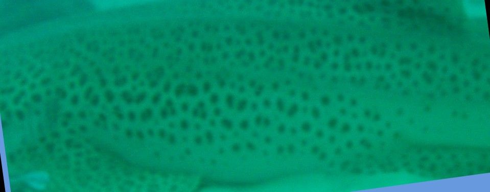 e692352e-091c-40fd-8900-6b35eb12c6c3