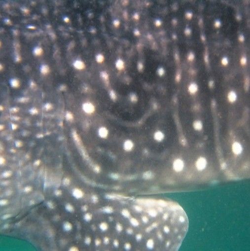 7784992f-0d75-401c-bc44-12f78cb84ab2