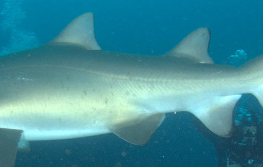 6e110d14-8300-41c7-a309-a082f8ad0b42